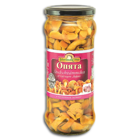 Pilze Stockschwämmchen "Udachnyy Sbor" mit Knoblauch in würzigem Aufguss 530g (ATG 315g)